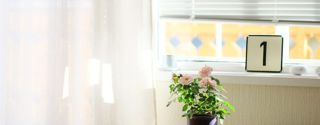 Het belang van raamdecoratie in huis
