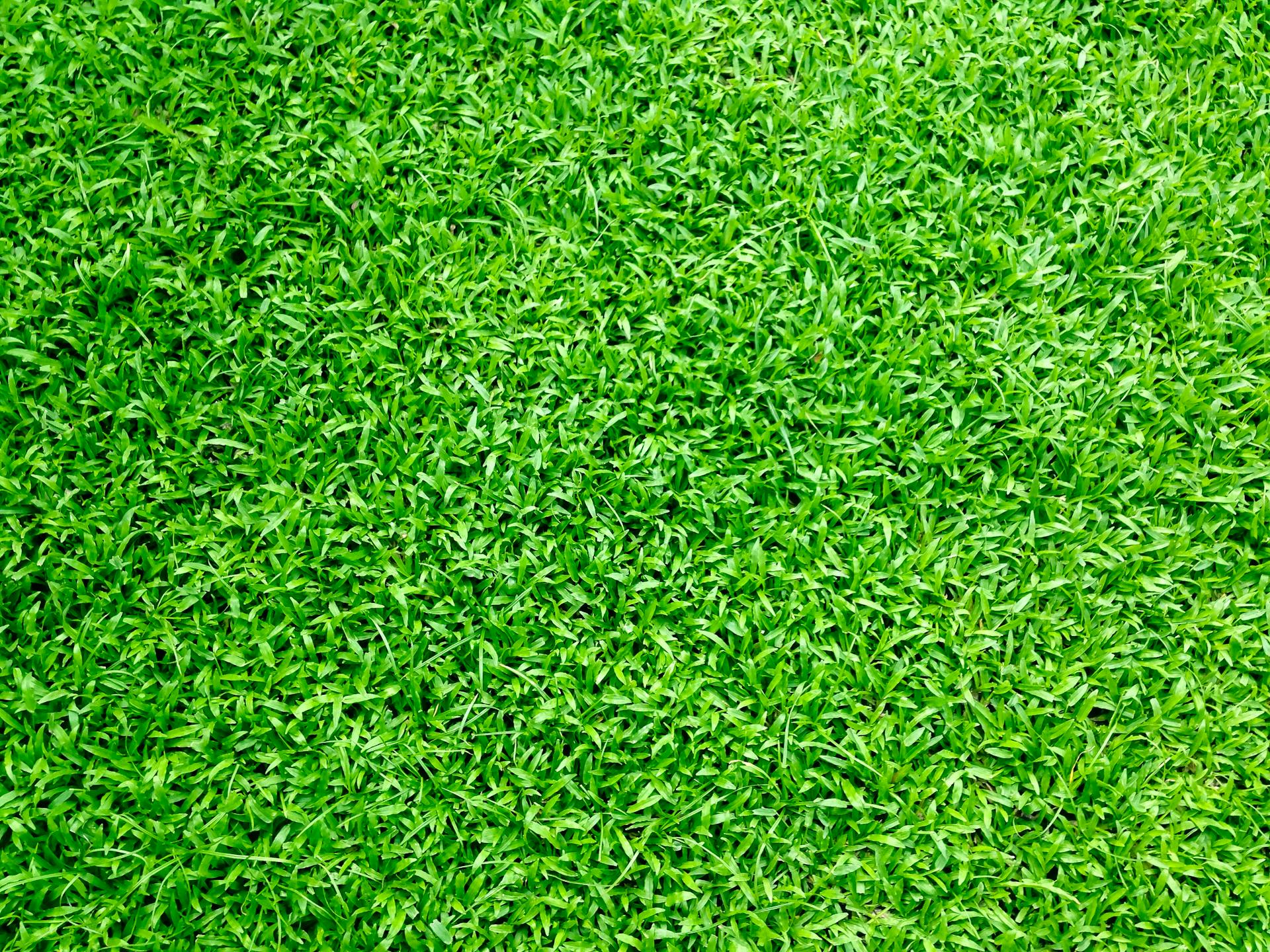 <strong>Kunstgras in en rond de woonkamer: verrassend veelzijdig</strong>